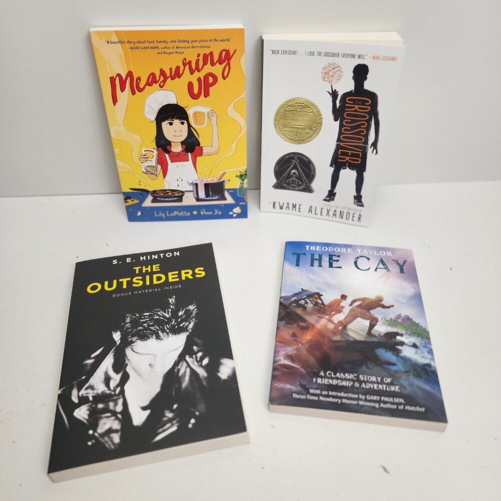 Mixed Lot of 4 Teen Soft Cover Chapter Books (The Outsiders, The Cay & more)